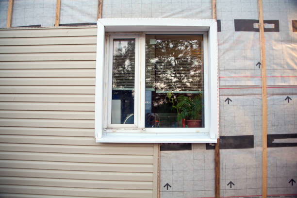 Best Custom Trim and Detailing for Siding  in Manheim, PA