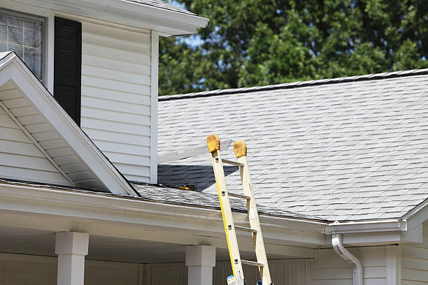 Affordable Siding Repair and Maintenance Services in Manheim, PA