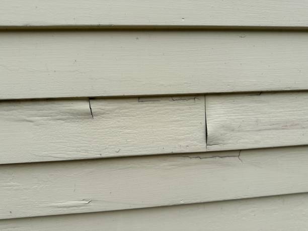 Best Stucco Siding  in Manheim, PA